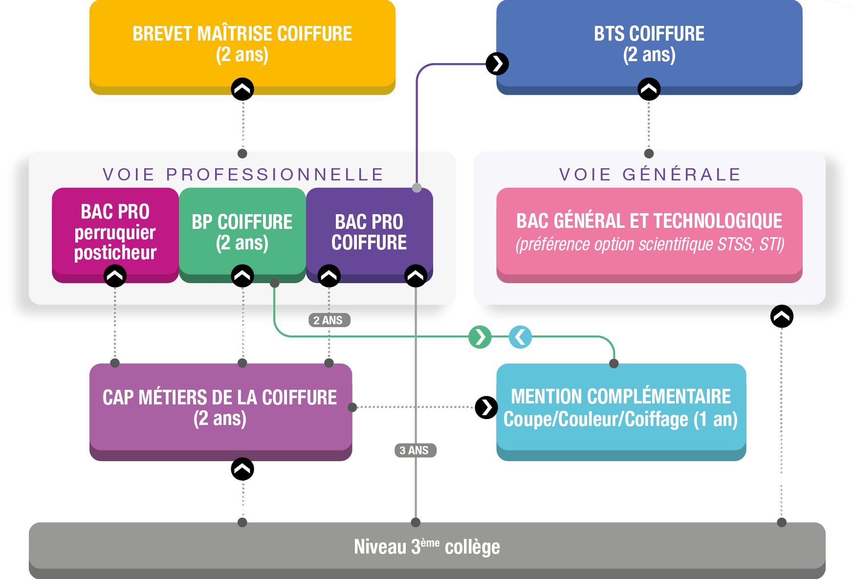 Schema des formations de l'école de coiffure