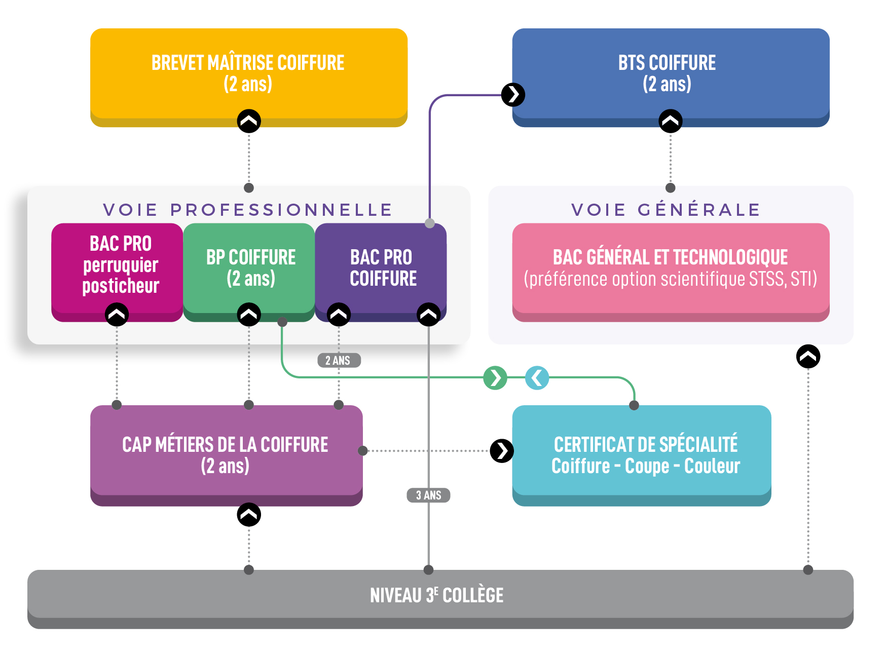 Schema des formations de l'école de coiffure